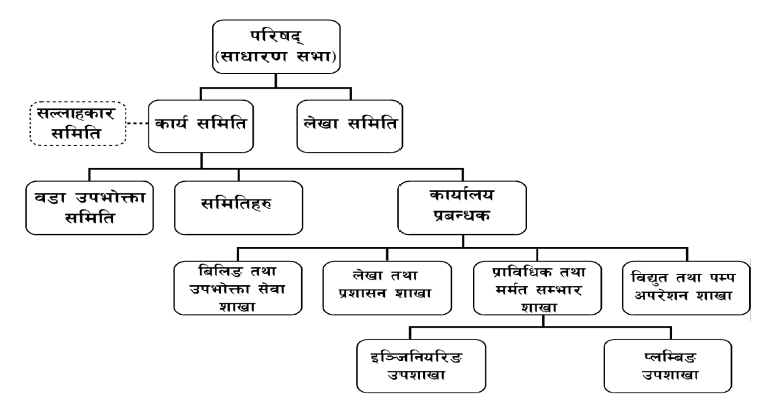 organization chart